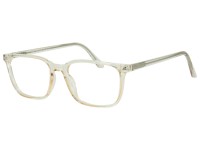 SEE N' BE SEEN 108