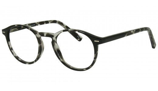 SEE N' BE SEEN 125