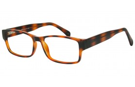 SEE N' BE SEEN 111