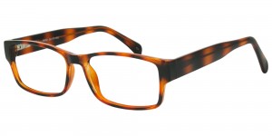 SEE N' BE SEEN 111