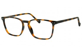 SEE N' BE SEEN 112