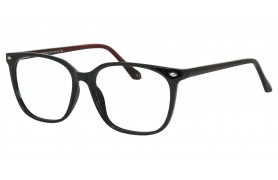SEE N' BE SEEN 115