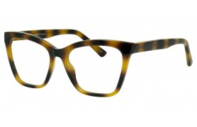 SEE N' BE SEEN 119
