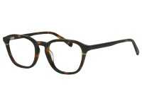 FREGOSSI 803
