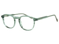 FREGOSSI 804
