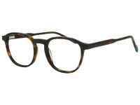 FREGOSSI 804