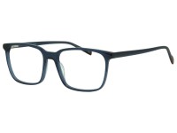 FREGOSSI 805