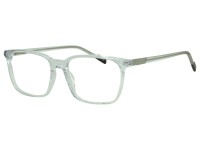 FREGOSSI 805